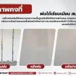 RUBYSHOP เครื่องพ่นสกิมโค้ท ระบบลูกสูบ รุ่น RB-1060 เป็น 2 IN 1 Skim coat machine & Airless sprayer