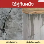 RUBYSHOP เครื่องยิงโฟม ยิงอิพ๊อกซี่ ขนาดเล็ก ยิง PU Foam Injection กันรั่วซึม ปิดรอยต่างๆรุ่น RB-WE02